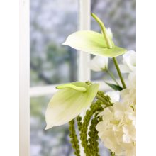New artificial flowers_Sostrene Grene_Available from 31 July 2025 (18).jpg